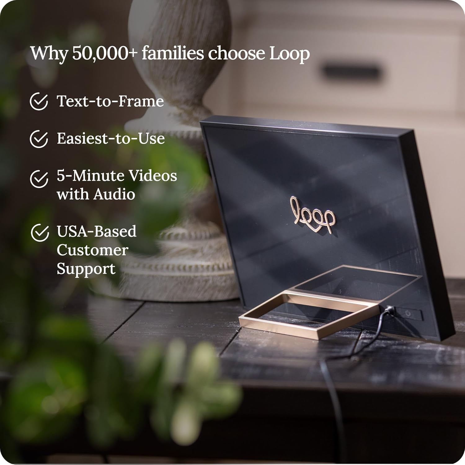Loop Digital Frame